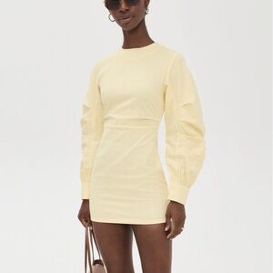 Lioness Blooming Mini dress